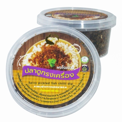 ปลาดูทรงเครื่อง